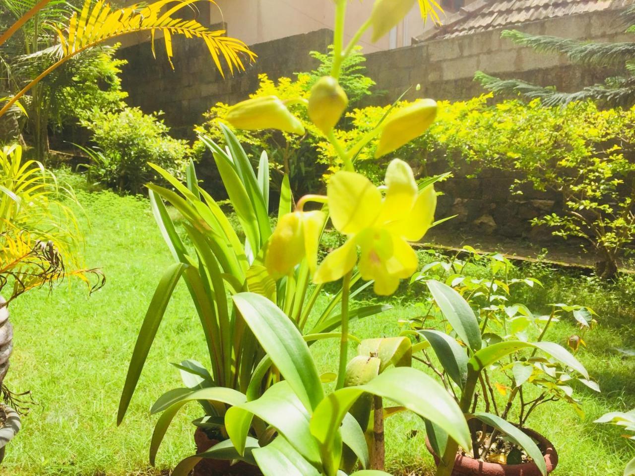Ganesh House Homestay 可瓦兰 外观 照片